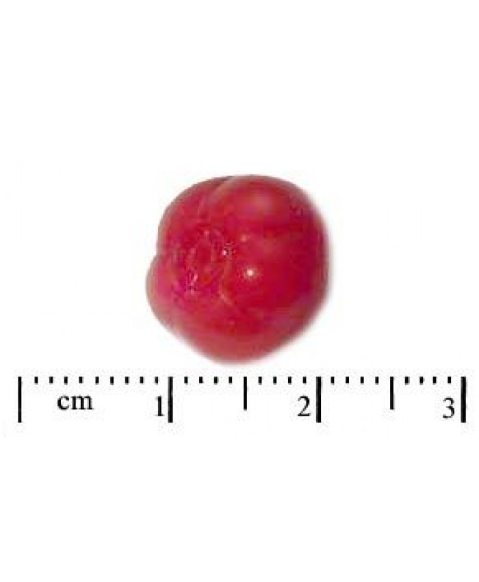 Knoflík dětský č. 14, rajče - 12mm, červevá